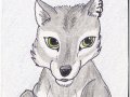 ACEO Cally wolf.jpg